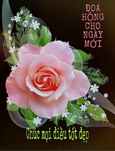 hẹn hò - Hoa Mai-Nữ -Tuổi:38 - Đã có gia đình-TP Hồ Chí Minh-Tìm bạn bè mới