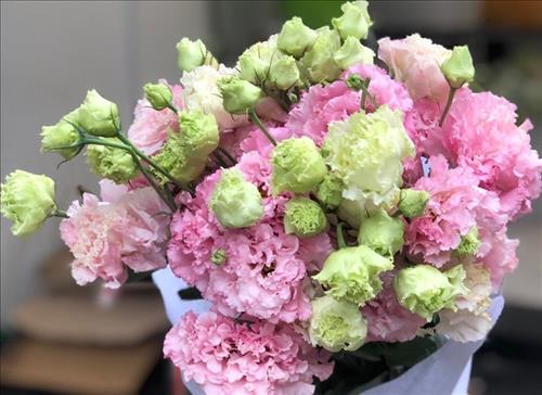 hẹn hò - Trúc -Nữ -Tuổi:23 - Độc thân-Hà Nội-Người yêu lâu dài