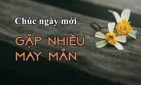 Thu Trà