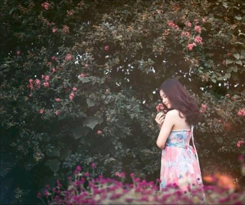 hẹn hò - NHY-Nữ -Tuổi:25 - Độc thân-Hà Nội-Người yêu lâu dài