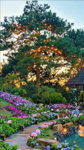 hẹn hò - WINDY-Nữ -Tuổi:32 - Ly dị-TP Hồ Chí Minh-Người yêu lâu dài