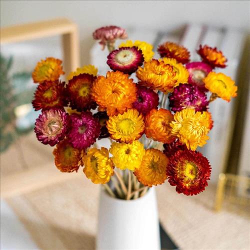 hẹn hò - Hoa dại khờ-Nữ -Tuổi:40 - Đã có gia đình-Hà Nội-Người yêu lâu dài