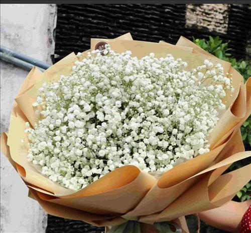 hẹn hò - Leaf-Nữ -Tuổi:38 - Đã có gia đình-TP Hồ Chí Minh-Tìm bạn bè mới