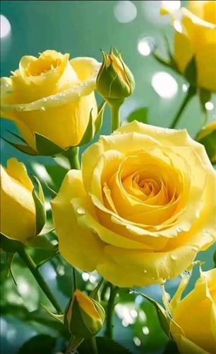 hẹn hò - Hang Nguyen-Lady -Age:33 - Single-TP Hồ Chí Minh-Short Term - Best dating website, dating with vietnamese person, finding girlfriend, boyfriend.