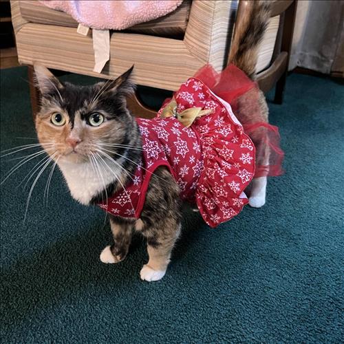 hẹn hò - Nguyen Ha My-Lady -Age:32 - Single-TP Hồ Chí Minh-Friend - Best dating website, dating with vietnamese person, finding girlfriend, boyfriend.