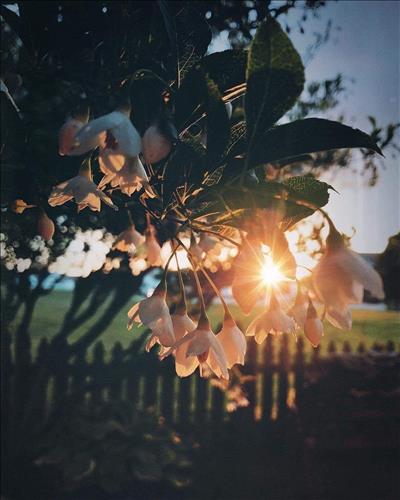 hẹn hò - Dòng sông nhỏ -Nữ -Tuổi:35 - Ly dị-Hà Nội-Người yêu lâu dài