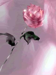 hẹn hò - Sweet dream-Nữ -Tuổi:37 - Độc thân-TP Hồ Chí Minh-Người yêu lâu dài