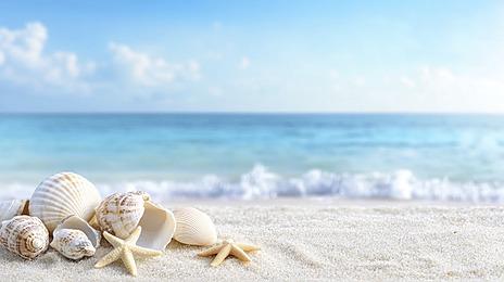 hẹn hò - Sweet dream-Nữ -Tuổi:37 - Độc thân-TP Hồ Chí Minh-Người yêu lâu dài