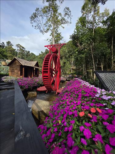 Tìm người nghiêm túc