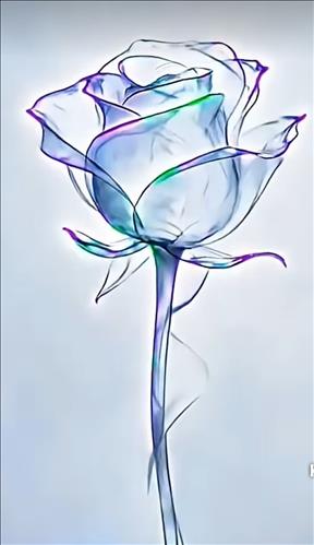 hẹn hò - Lonely -Nữ -Tuổi:45 - Độc thân-TP Hồ Chí Minh-Người yêu lâu dài