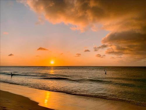 hẹn hò - Hoang Hon-Nữ -Tuổi:40 - Độc thân--Người yêu lâu dài