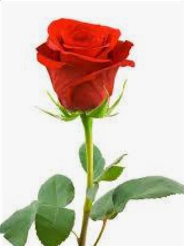 hẹn hò - Navy Saigon -Nữ -Tuổi:29 - Độc thân-TP Hồ Chí Minh-Người yêu lâu dài