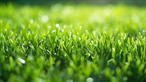 hẹn hò - Cỏ dại-Lady -Age:50 - Married-Hà Nội-Friend - Best dating website, dating with vietnamese person, finding girlfriend, boyfriend.