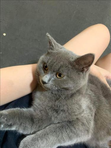 hẹn hò - Thanh Tâm  -Nữ -Tuổi:33 - Ly dị-Hải Phòng-Người yêu lâu dài