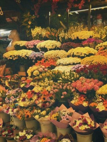 hẹn hò - Hân-Nữ -Tuổi:33 - Độc thân-TP Hồ Chí Minh-Tìm bạn bè mới