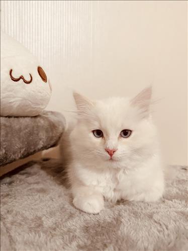 hẹn hò - Tuyền-Nữ -Tuổi:39 - Độc thân-Hải Phòng-Tìm bạn bè mới