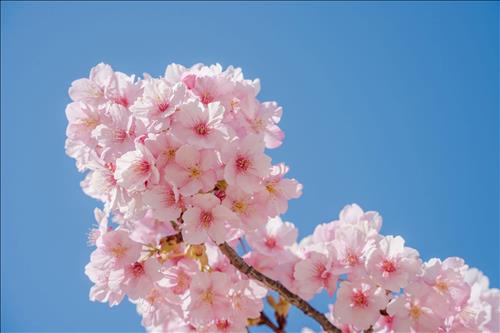 hẹn hò - Kam-Les -Tuổi:29 - Độc thân-TP Hồ Chí Minh-Tìm bạn bè mới