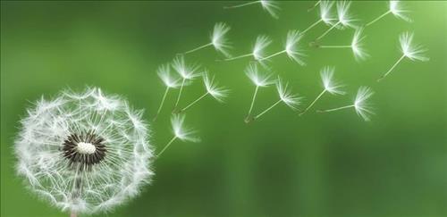 hẹn hò - Kim-Nữ -Tuổi:45 - Đã có gia đình-Đồng Nai-Tìm bạn bè mới