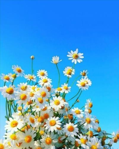 hẹn hò - Vân-Lady -Age:42 - Married-Vĩnh Phúc-Friend - Best dating website, dating with vietnamese person, finding girlfriend, boyfriend.