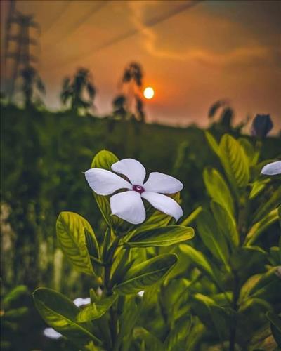 hẹn hò - Bèo_forex-Lady -Age:30 - Single-TP Hồ Chí Minh-Lover - Best dating website, dating with vietnamese person, finding girlfriend, boyfriend.