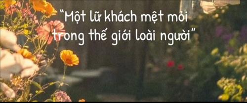 Lơ Ngơ 1 cõi Vô Thường