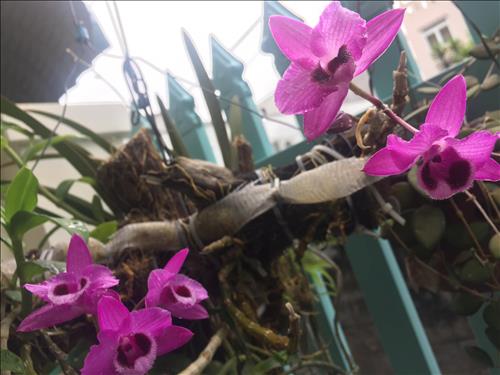 Tôi là ai giữa cuộc đời này