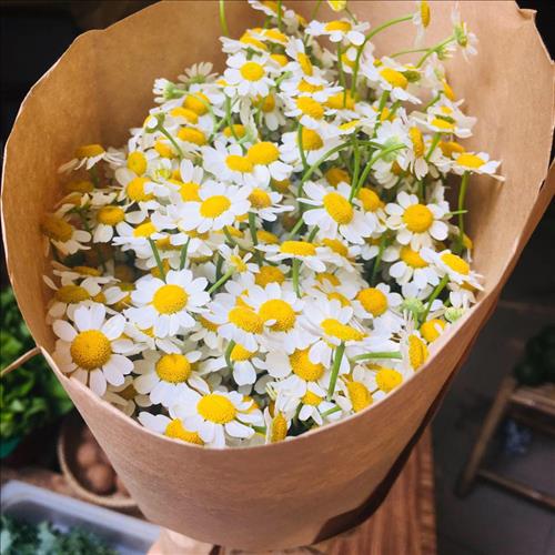 hẹn hò - Hoa cỏ-Les -Tuổi:36 - Độc thân-TP Hồ Chí Minh-Người yêu lâu dài