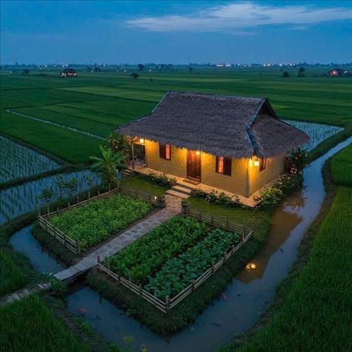 hẹn hò - Sad Sầu-Les -Tuổi:45 - Ly dị-Đồng Tháp-Tìm bạn tâm sự
