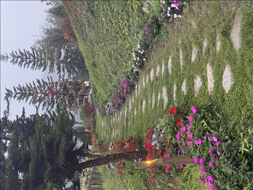 Ngọc