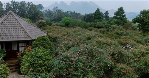 hẹn hò - Tìm người thương.-Nữ -Tuổi:39 - Ly dị-TP Hồ Chí Minh-Người yêu lâu dài