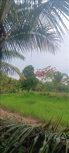 binhyen