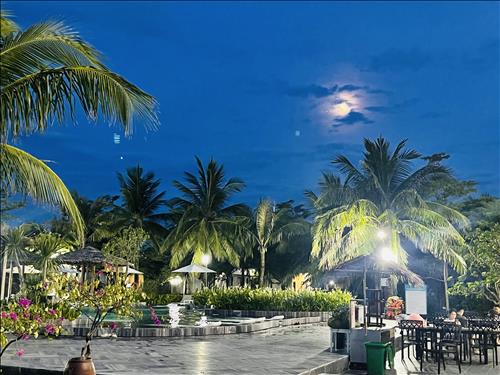 hẹn hò - Khoảng lặng trống-Nữ -Tuổi:38 - Ly dị-Hà Nội-Tìm bạn bè mới