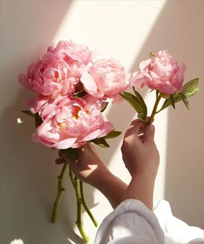 hẹn hò - Hoa-Lady -Age:35 - Married-TP Hồ Chí Minh-Friend - Best dating website, dating with vietnamese person, finding girlfriend, boyfriend.