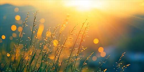 hẹn hò - Lily-Nữ -Tuổi:35 - Độc thân-TP Hồ Chí Minh-Tìm bạn tâm sự