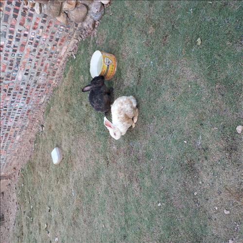 hẹn hò - Boyhocsex-Male -Age:22 - Single-Hà Nội-Confidential Friend - Best dating website, dating with vietnamese person, finding girlfriend, boyfriend.