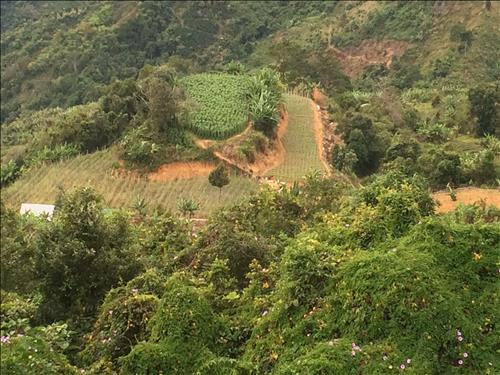 hẹn hò - Dophan-Nam -Tuổi:28 - Độc thân-TP Hồ Chí Minh-Tìm bạn tâm sự