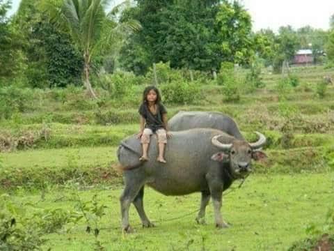 hẹn hò - hoàng hôn-Nam -Tuổi:36 - Độc thân-TP Hồ Chí Minh-Tìm bạn tâm sự