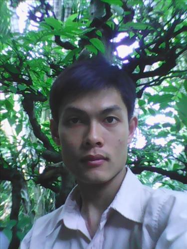 minhphungdinh@gmail.com
