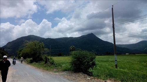 kohinhbong