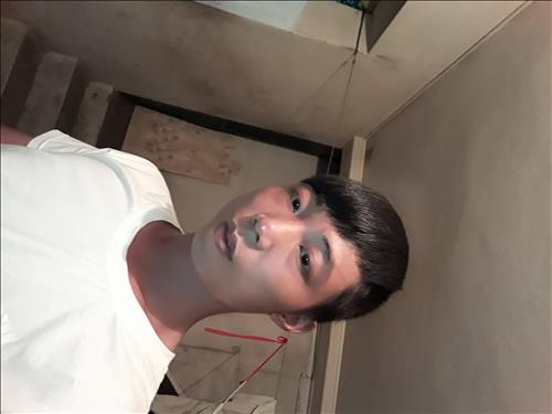 vũ tùng