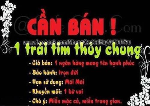 vu nam