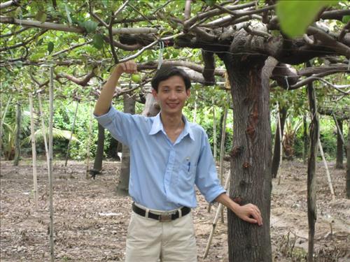 hẹn hò - Lâm-Nam -Tuổi:33 - Độc thân-TP Hồ Chí Minh-Người yêu lâu dài