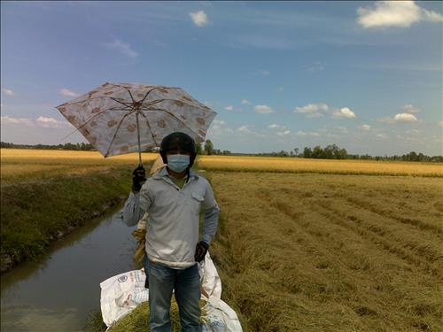hẹn hò - VL Community-Nam -Tuổi:32 - Độc thân-TP Hồ Chí Minh-Người yêu lâu dài
