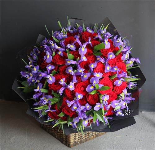 Hữu Nhân
