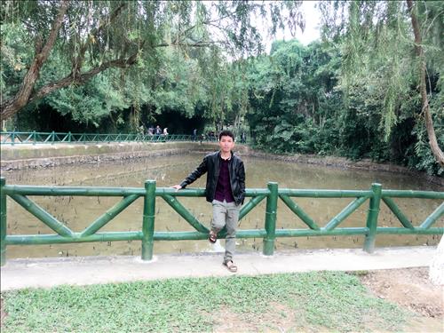Đình Quân