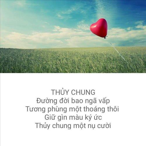 Tri Nguyen