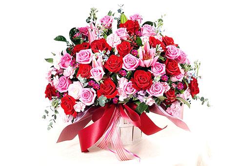 hẹn hò - lotusben-Nam -Tuổi:31 - Độc thân-TP Hồ Chí Minh-Tìm bạn tâm sự