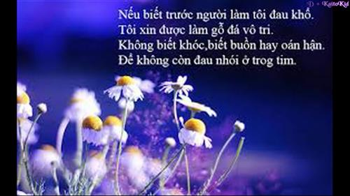 đình sang