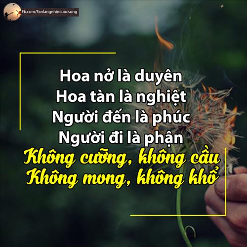 dong huynh