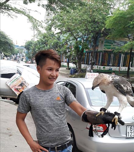 duyhoanh